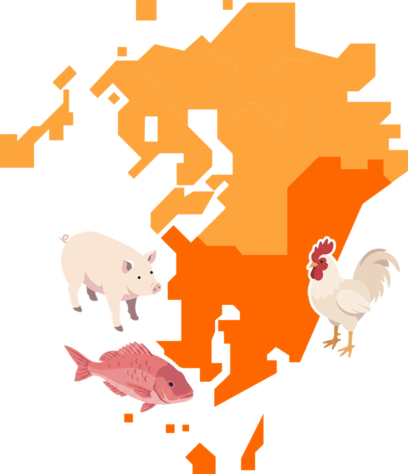 南九州産の原料を使用